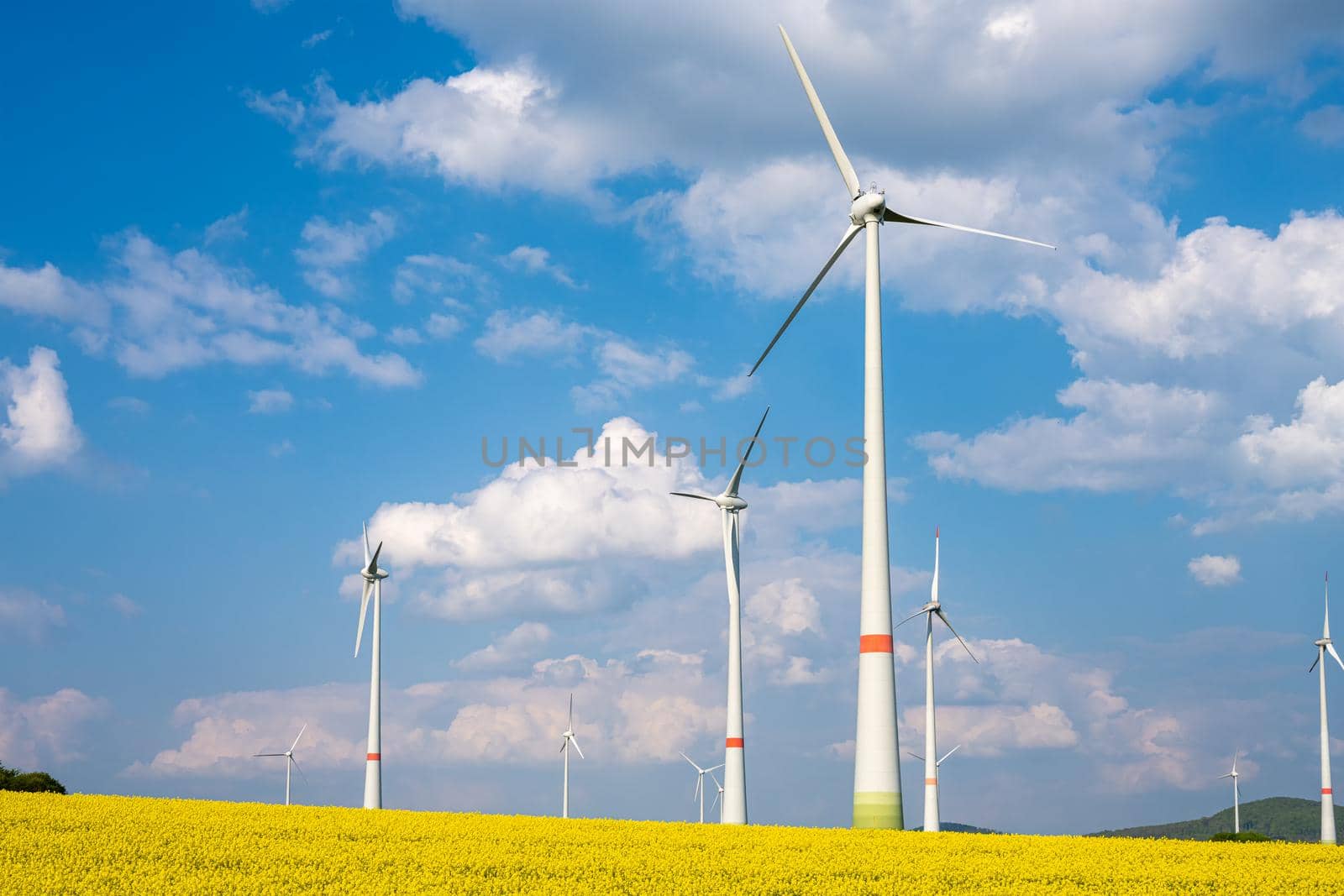 Wind turbines in a blooming rape seed field by elxeneize