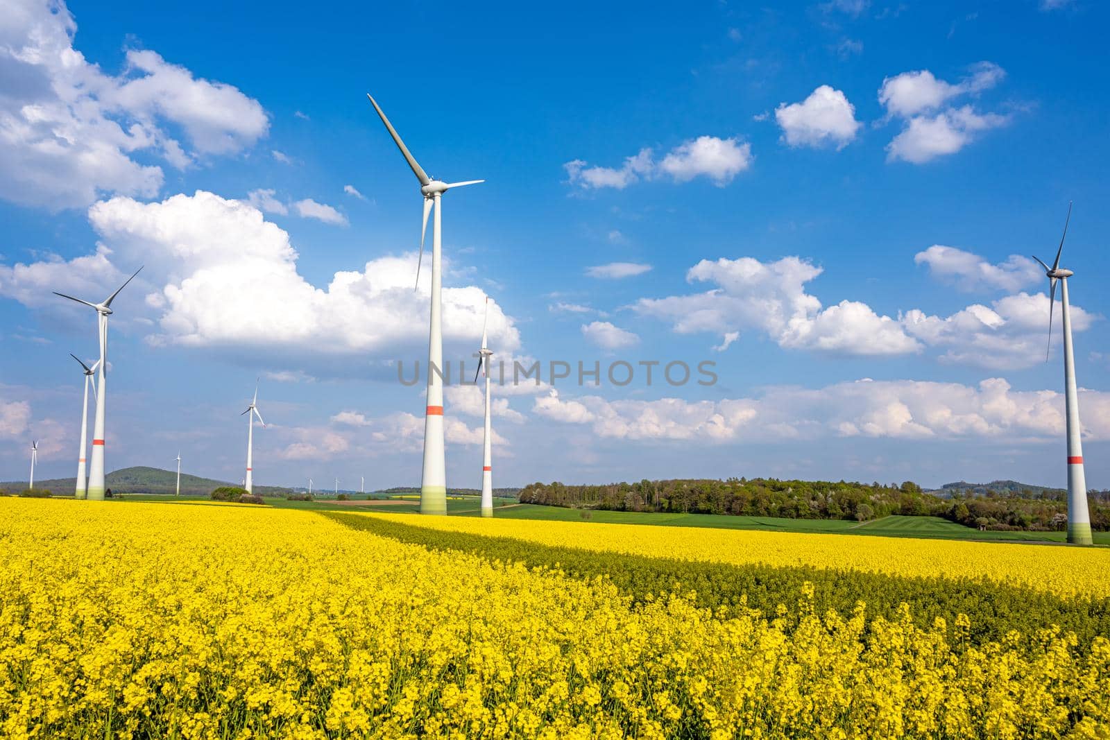 Wind turbines in a blooming rape field by elxeneize