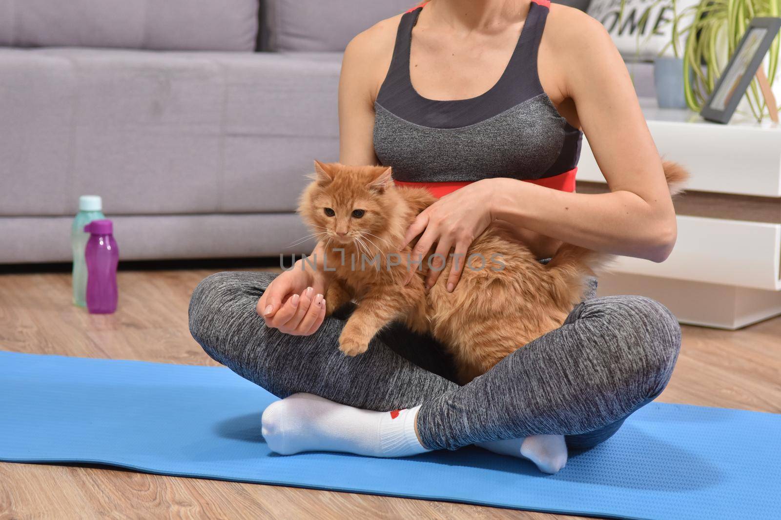 Young woman in yoga with red cat by Bonda
