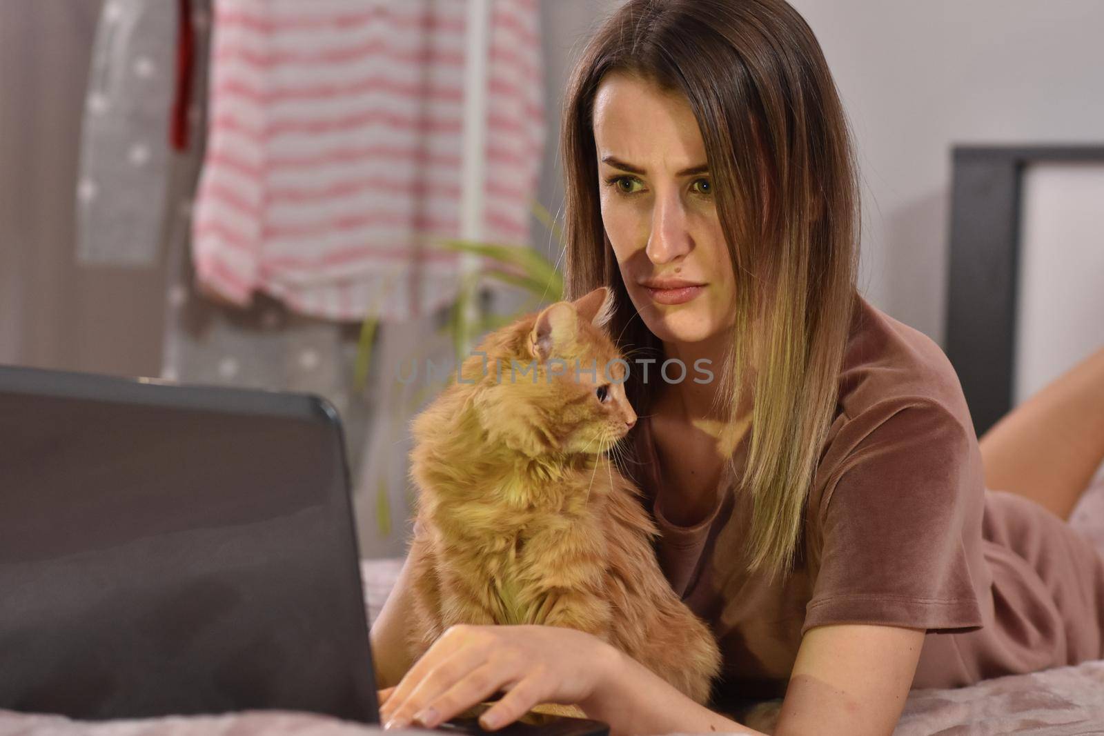 Young caucasian brunette businesswoman working at home using laptop while caressing pet red cat