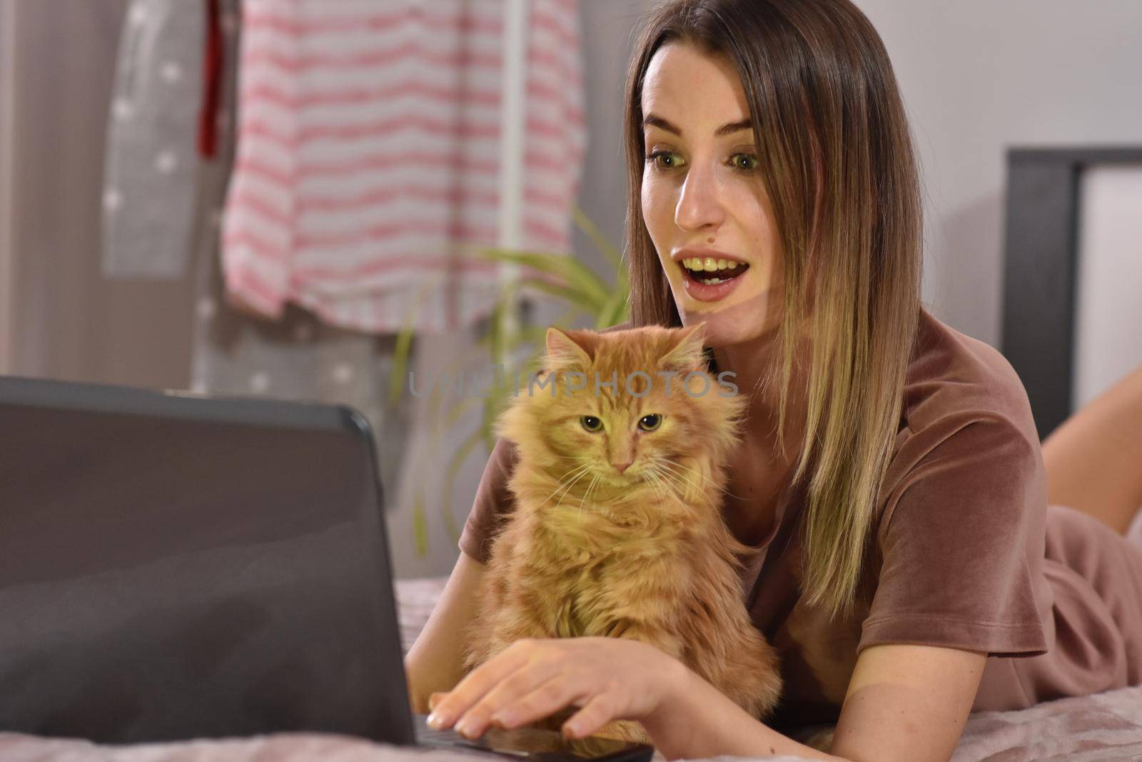 Young caucasian brunette businesswoman working at home using laptop while caressing pet red cat