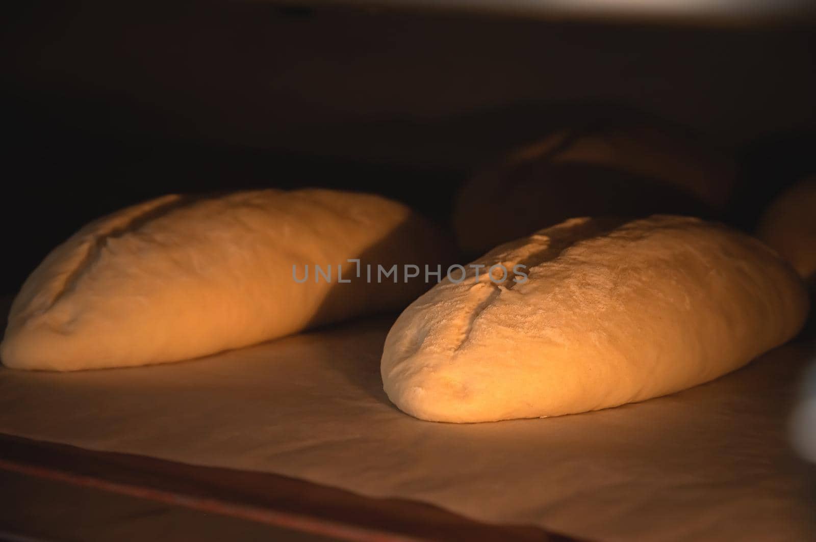 Close-up of two blanks for french rolls of dough lie in the oven for baking bread.