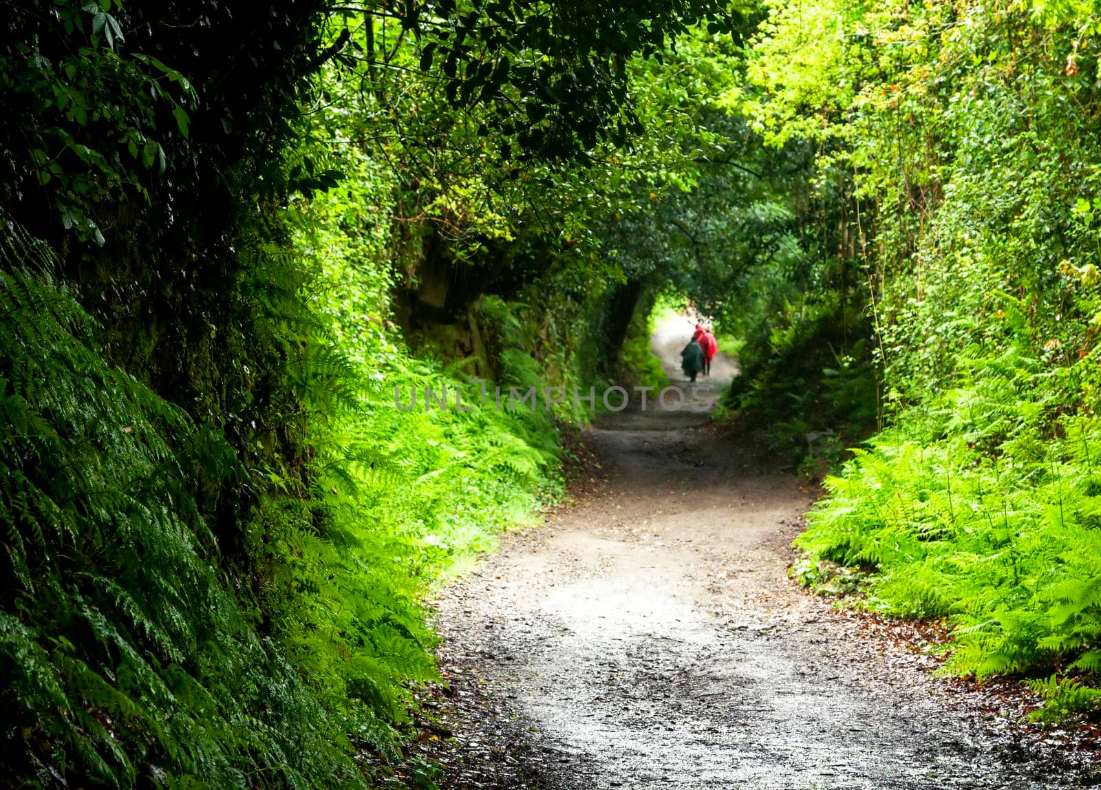 Two backpackers on a dirt road by Goodday