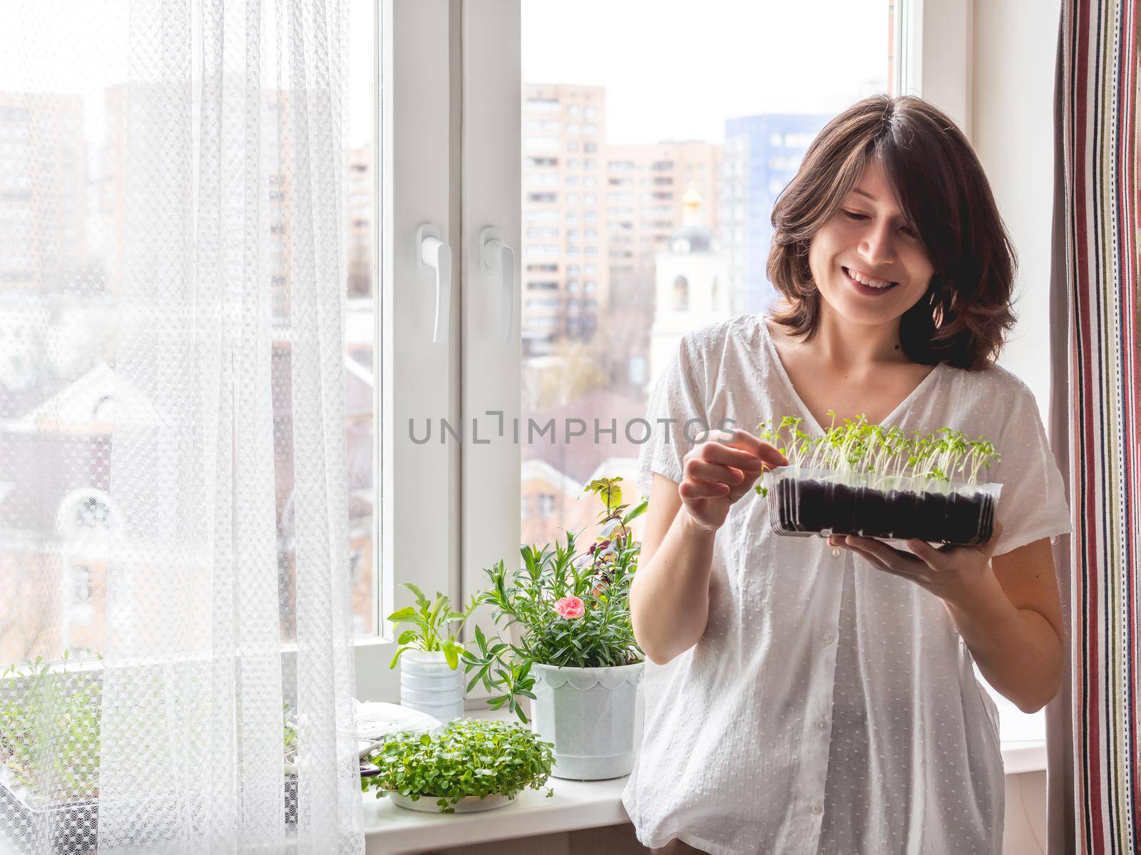 Smiling woman is looking on with plastic box with microgreens. Growing edible organic basil, arugula, microgreen of cabbage for healthy nutrition. Gardening on window sill at home. by aksenovko