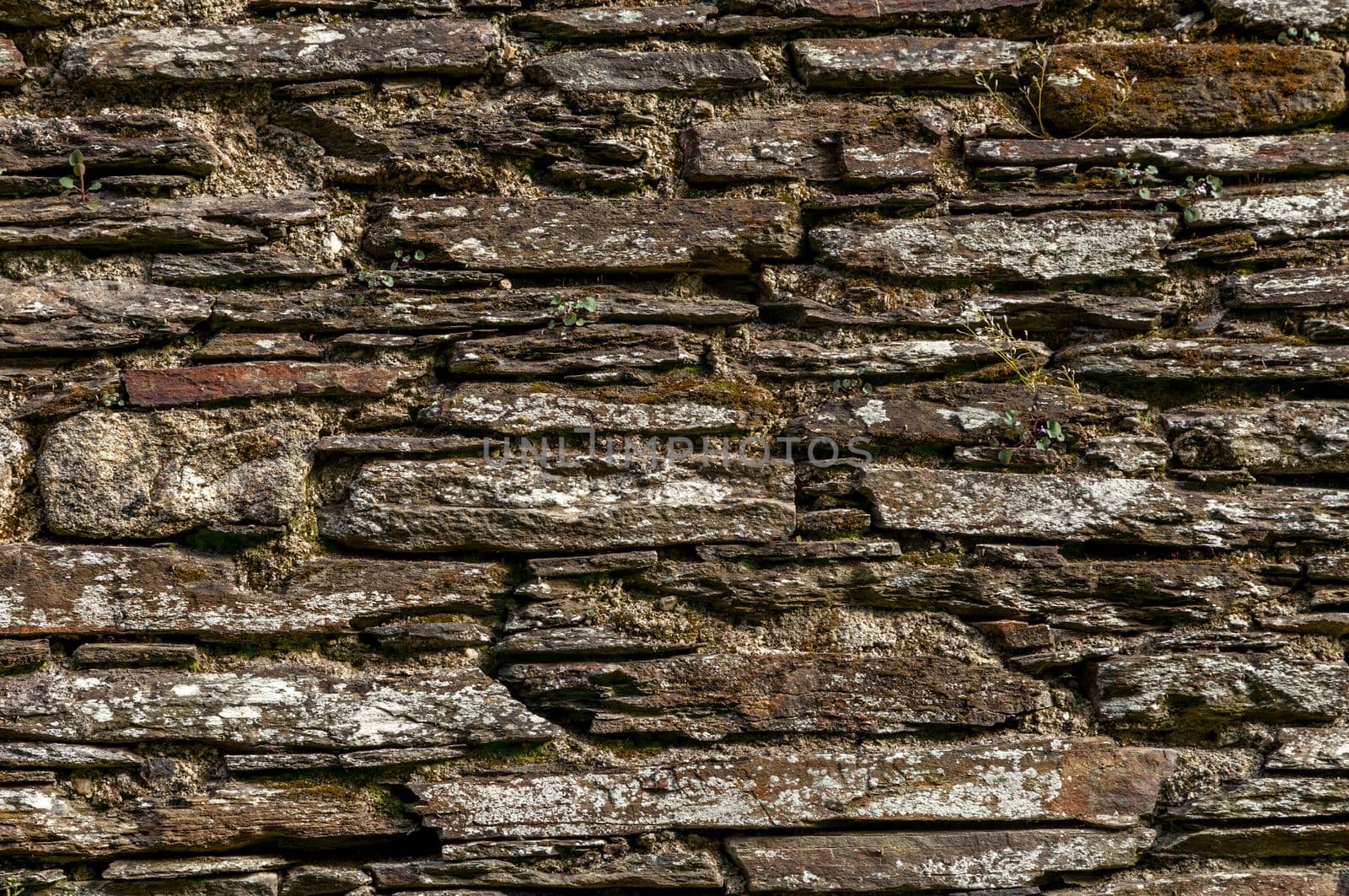 Old stone wall with green moss background