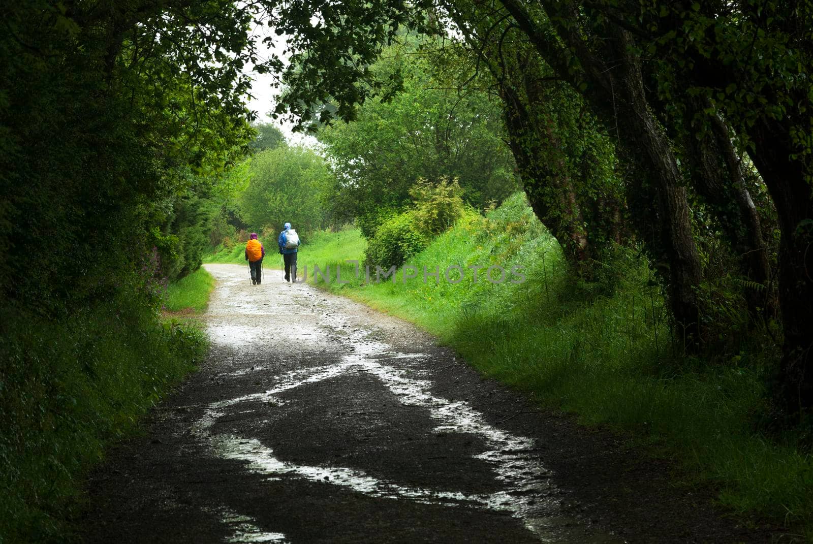 Two backpackers on a dirt road during a journey