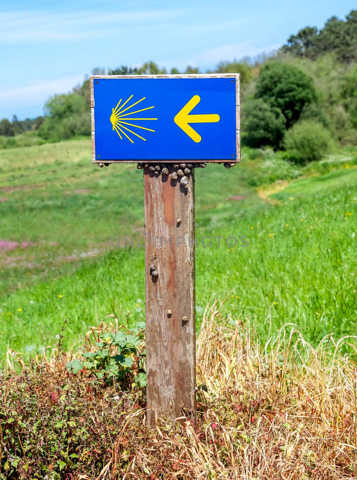 Road sign of Camino de Santiago, pilgrimage route to the Cathedral of Santiago de Compostela