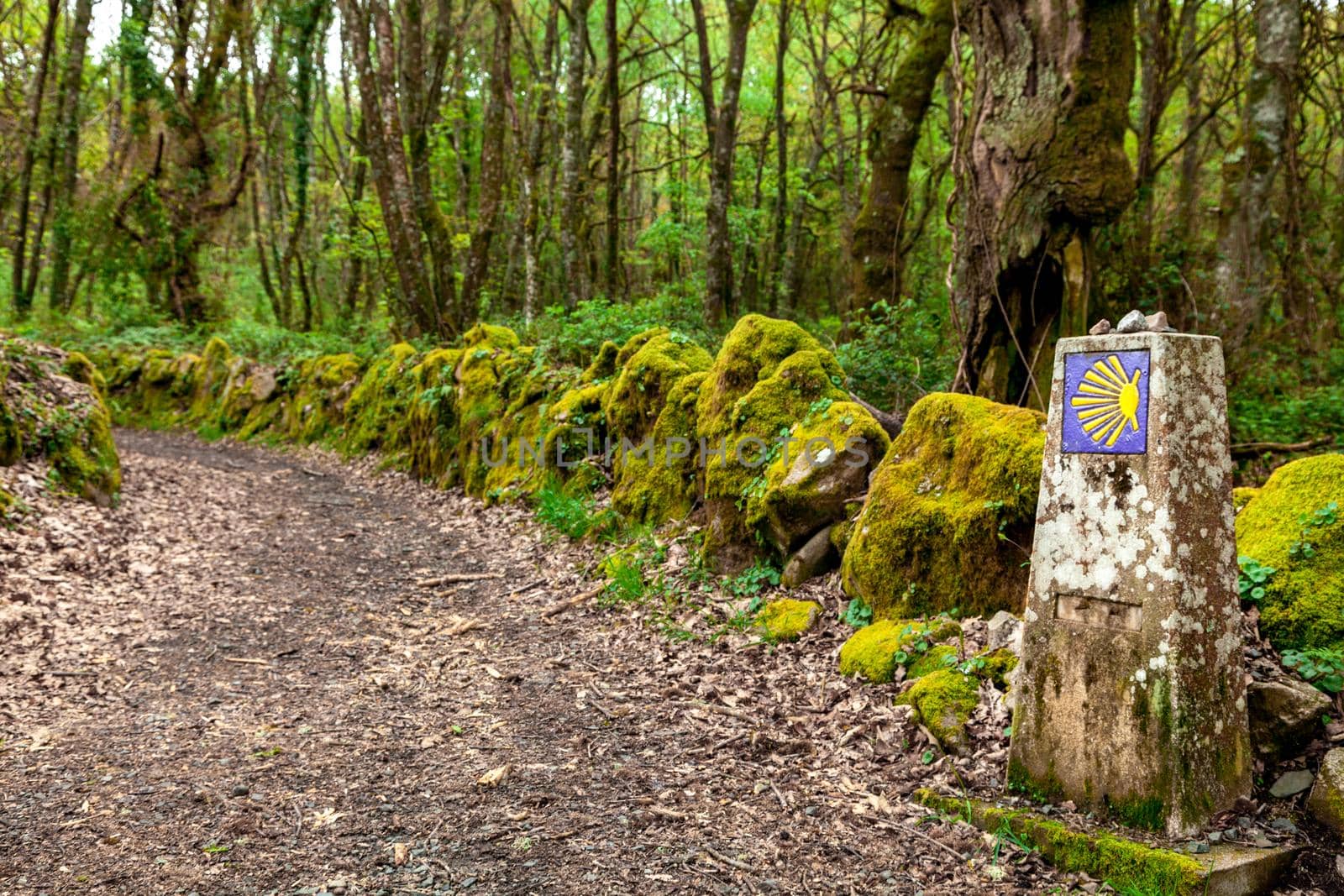 Road sign of Camino de Santiago, pilgrimage route to the Cathedral of Santiago de Compostela