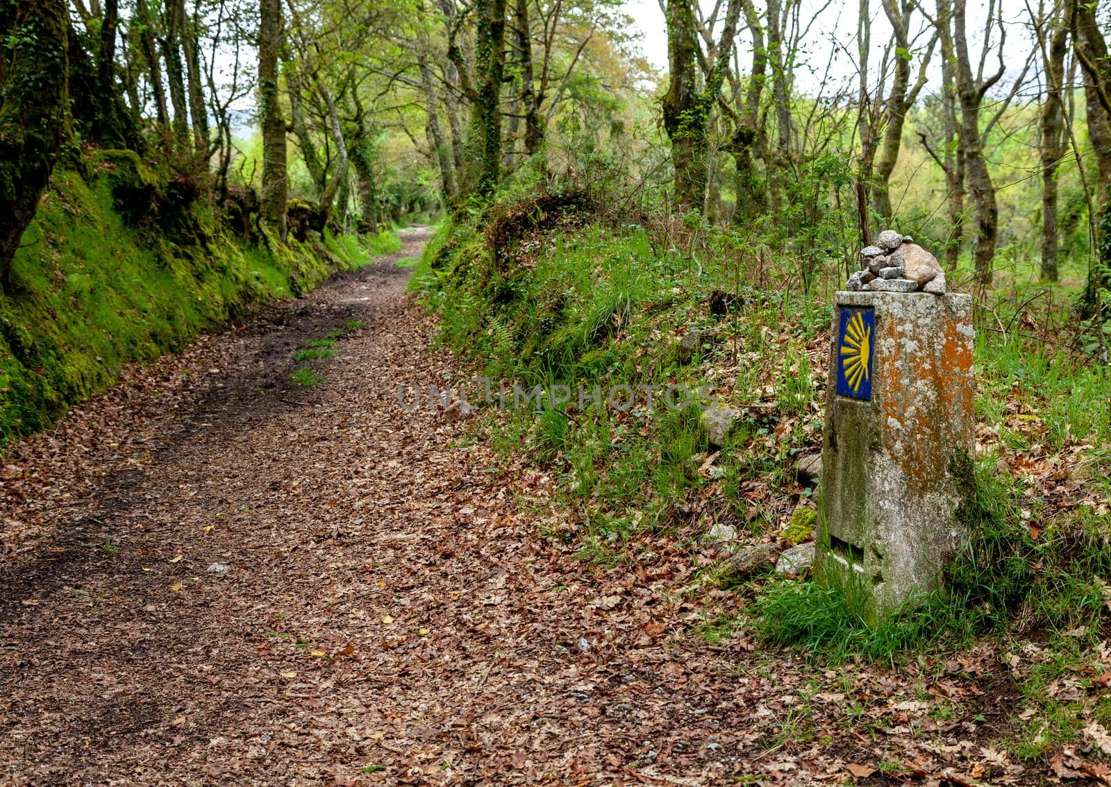 Road sign of Camino de Santiago, pilgrimage route to the Cathedral of Santiago de Compostela