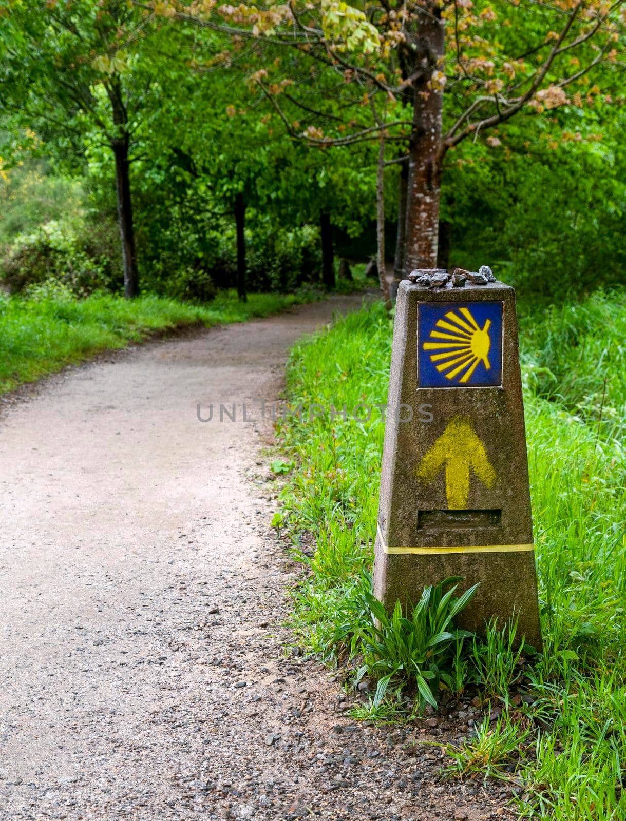 Road sign of Camino de Santiago, pilgrimage route to the Cathedral of Santiago de Compostela