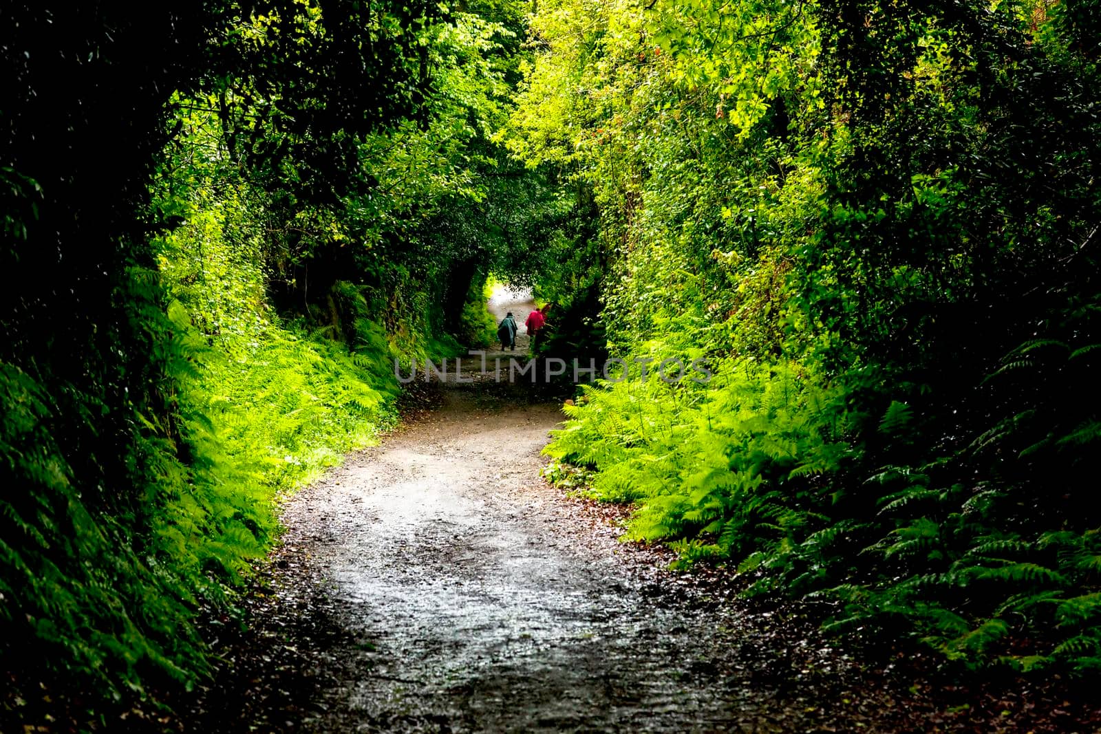 Two backpackers on a dirt road during a journey