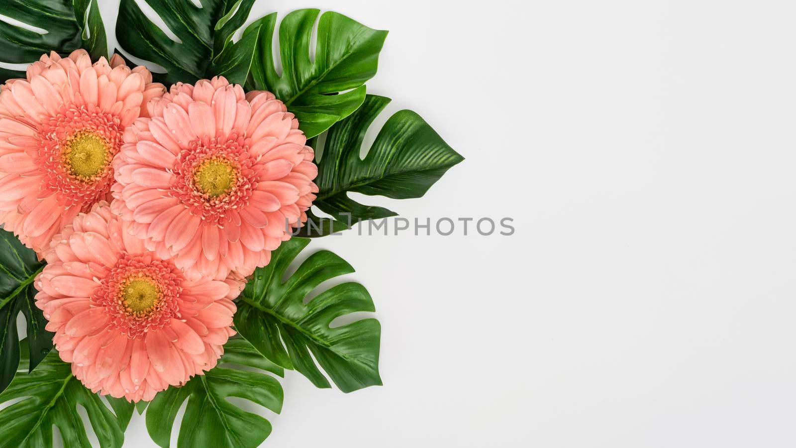 monstera leaves with gerbera flowers