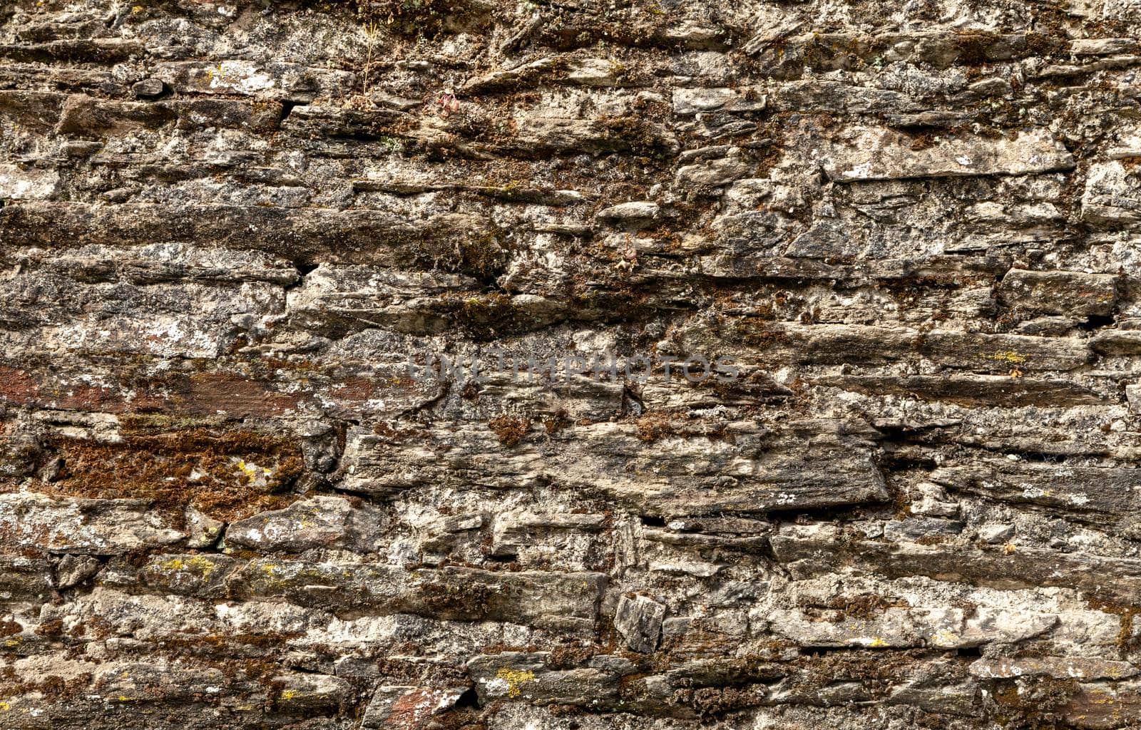 Old stone wall with green moss background