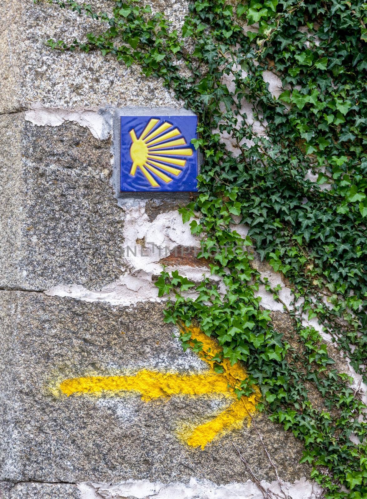 Road sign of Camino de Santiago, pilgrimage route to the Cathedral of Santiago de Compostela