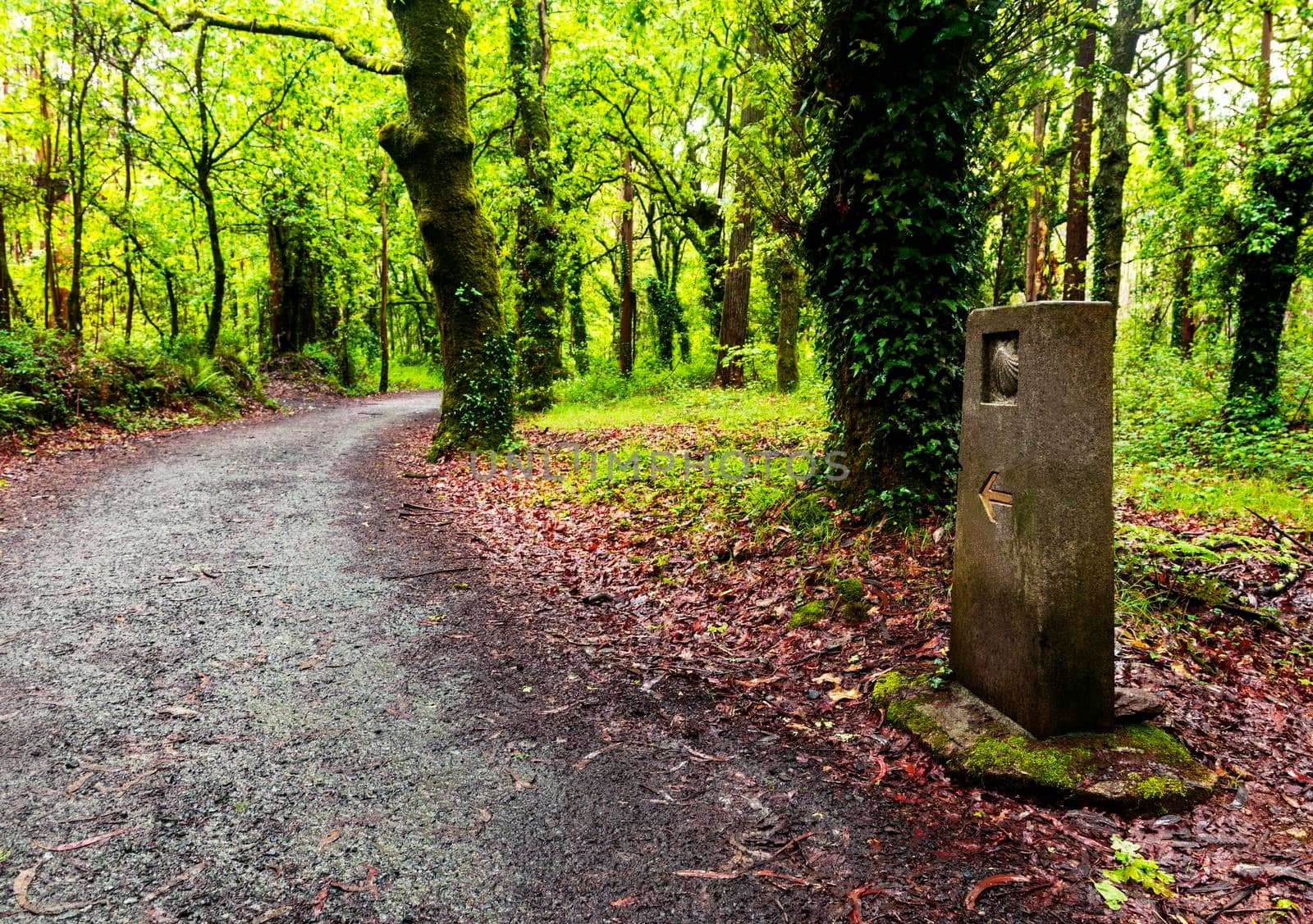 Road sign of Camino de Santiago, pilgrimage route to the Cathedral of Santiago de Compostela