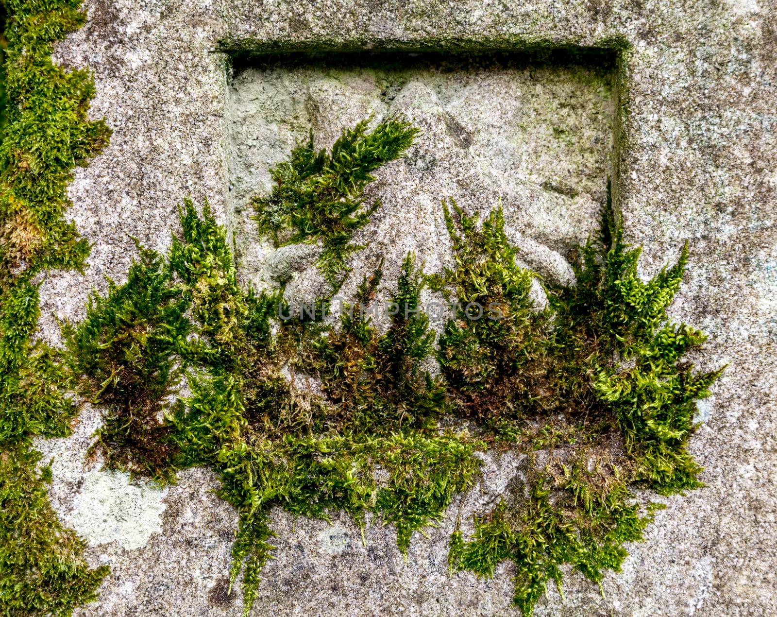 Road sign of Camino de Santiago by Goodday