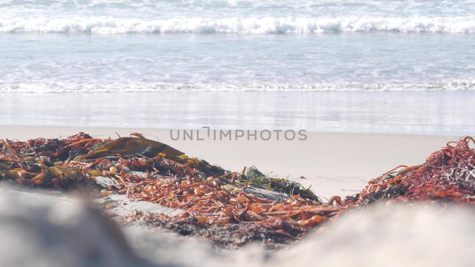 Big blue ocean waves crashing on beach, California pacific coast, USA. Sea water foam, kelp seaweed algae and white sand. Summertime shore aesthetic seascape. Surfing vibe. Seamless looped cinemagraph