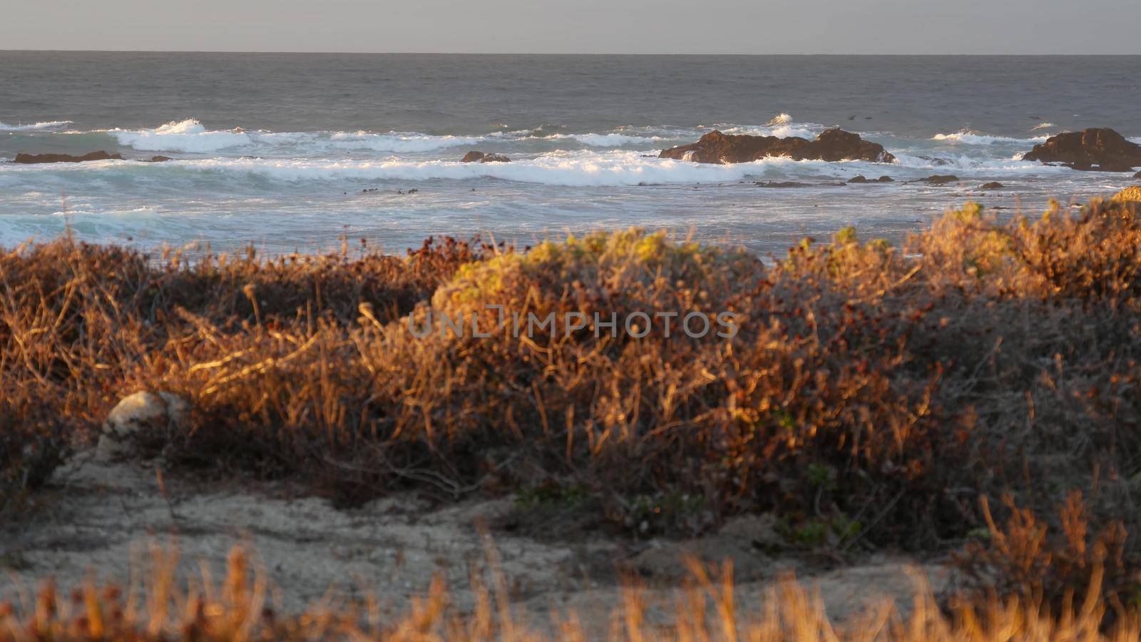 Rocky ocean coast, dramatic sea waves, Monterey beach, California, birds flying. by DogoraSun