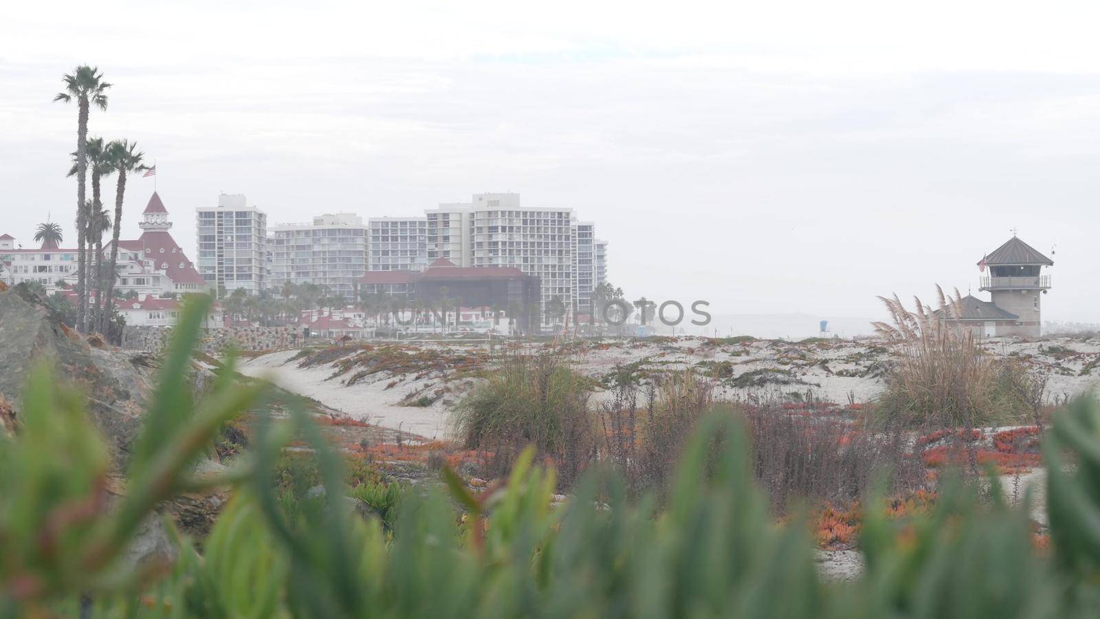 Sand dunes of misty Coronado beach, ocean waves in fog, California coast, USA. by DogoraSun