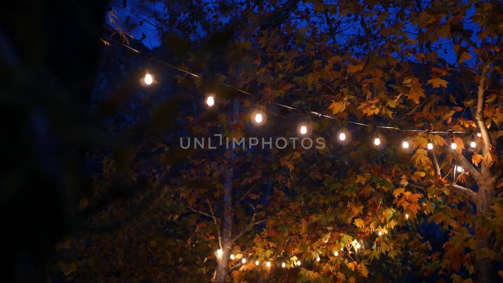 Yellow or orange autumn maple tree leaves and glowing garland in cozy twilight. by DogoraSun