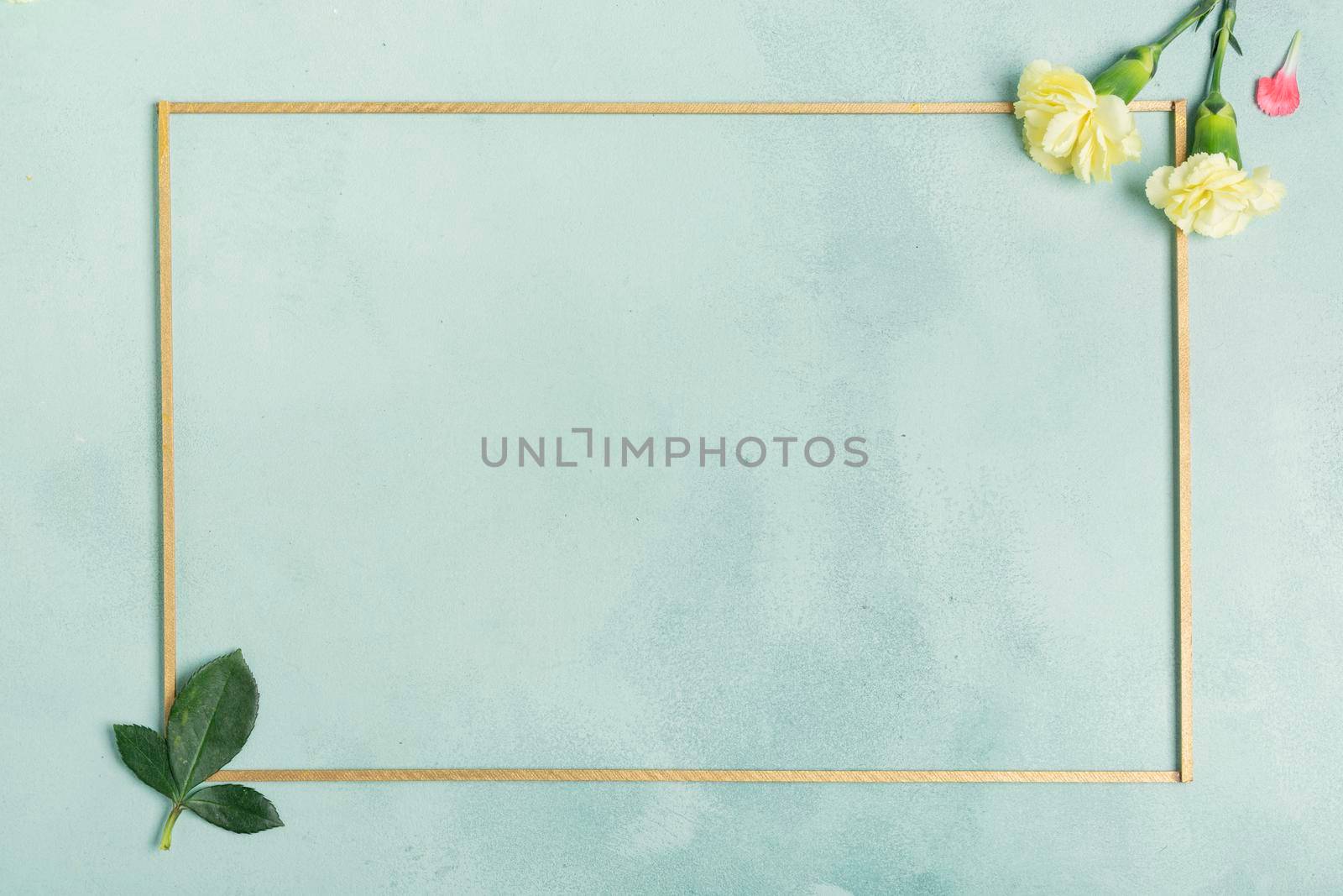 minimalist frame with carnation flowers leaves