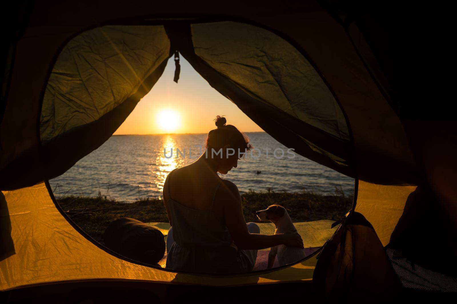 Woman and dog in a tourist tent at sunset. Camping with a pet.