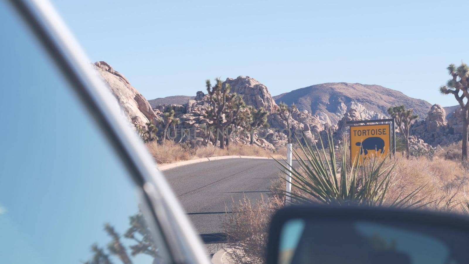 Tortoise or turtle crossing yellow road sign, California USA. Wild animal xing. by DogoraSun