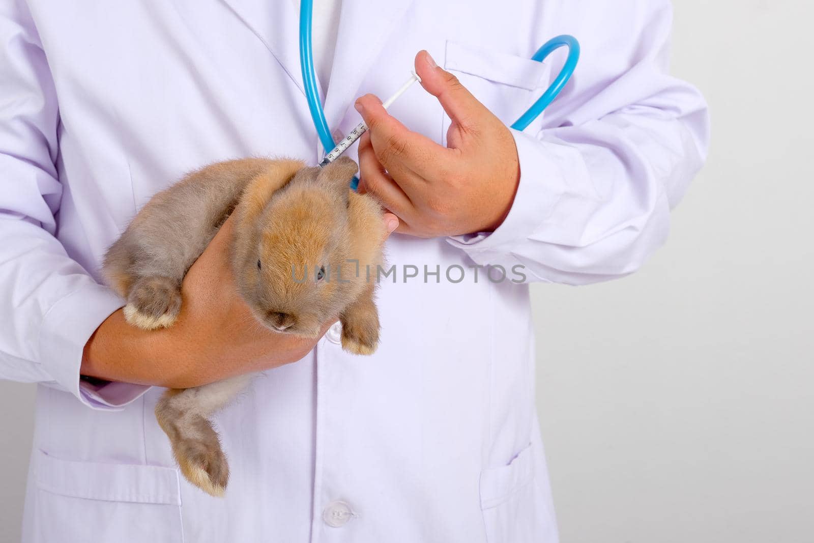 Veterinarian or scientist with white gown inject some medicine or chemical to brown rabbit.