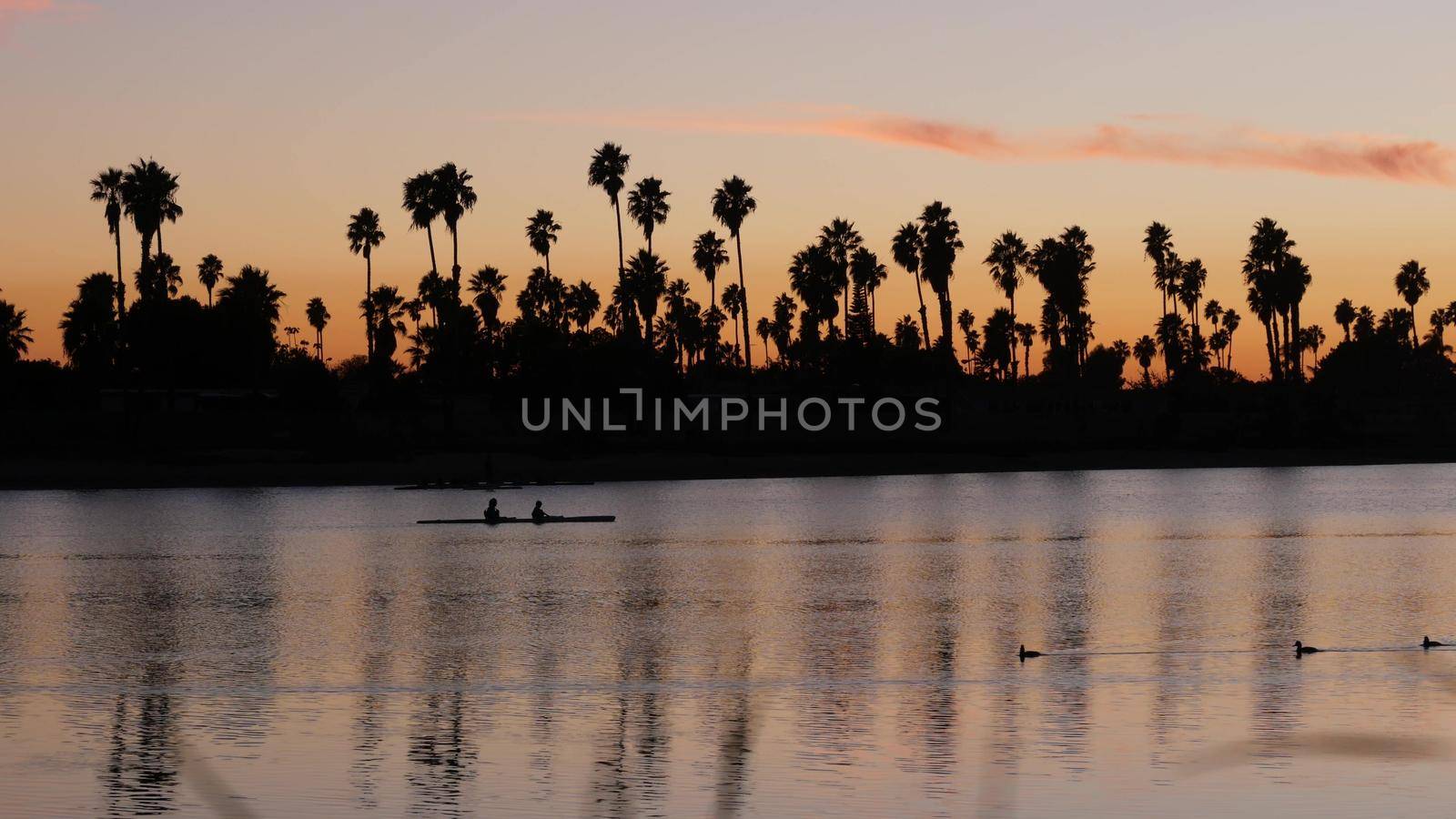 Palm trees silhouettes on sunset ocean beach, California coast, USA. Reflection of purple pink orange sky in calm water of Mission Bay Park, San Diego. People kayaking, paddling, rowing or canoeing.