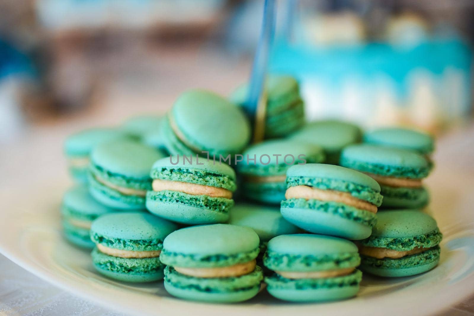 turquoise sweet macarons on a plate. Food candy. Colorfull delicious.