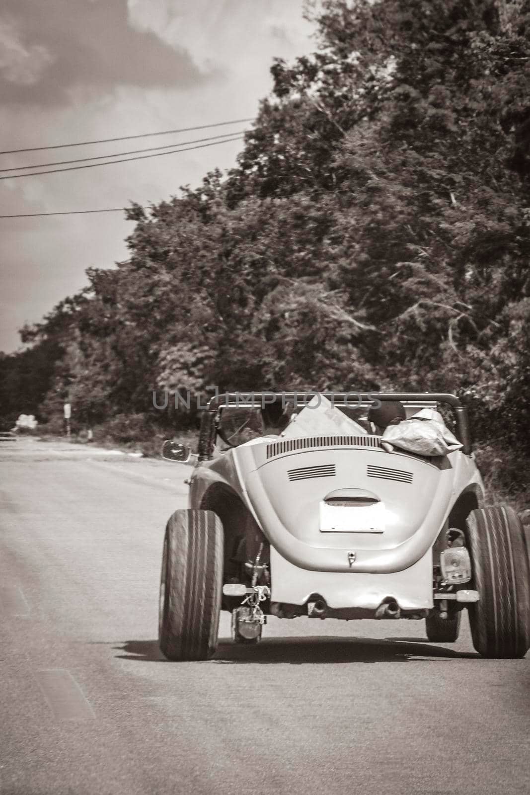 Old black and white picture of driving on the highway in the jungle and tropical nature of Tulum Quintana Roo Mexico.