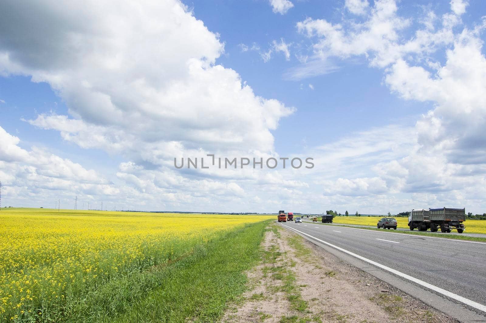 Flowering rapeseed field and power line by zimages