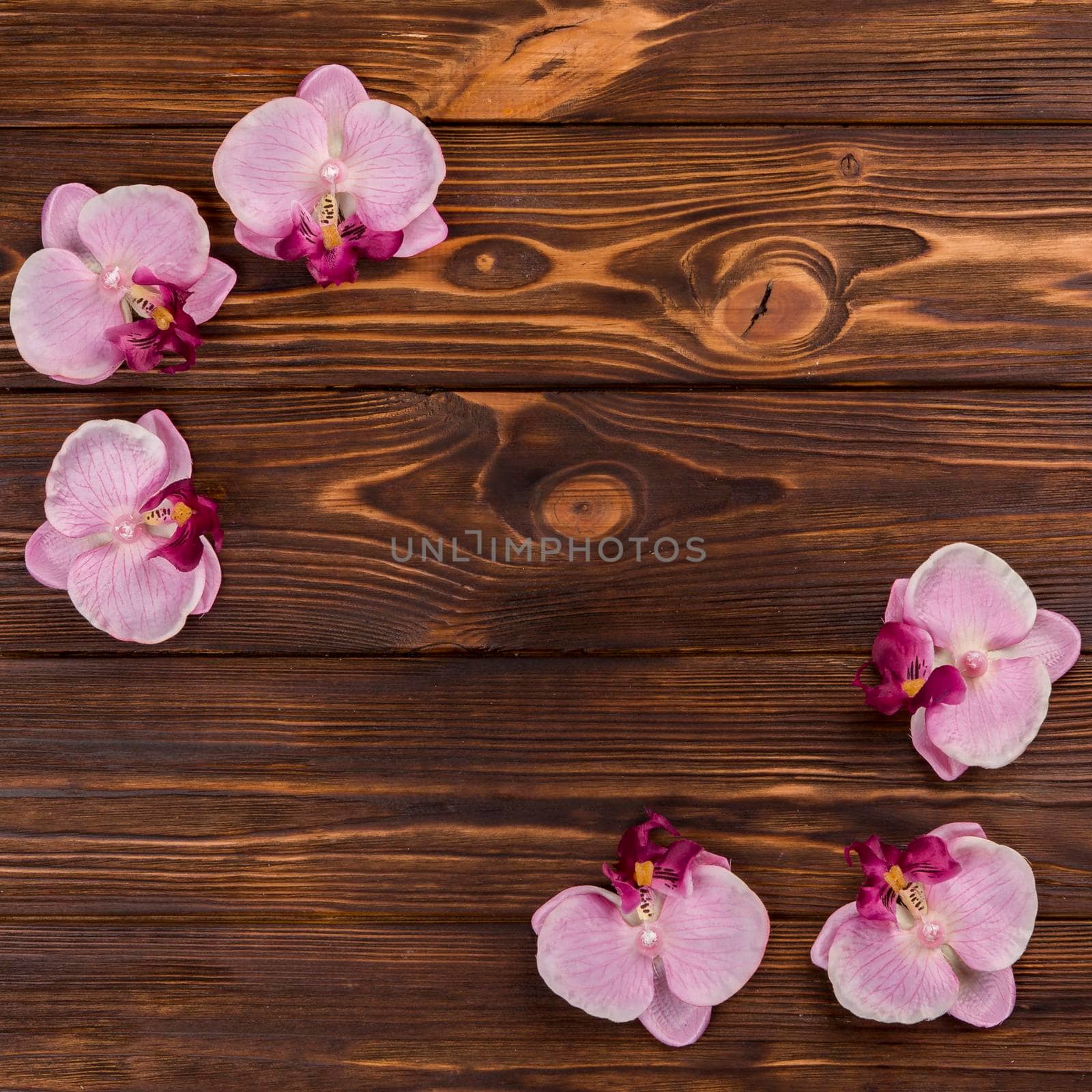orchids wooden tabletop by Zahard