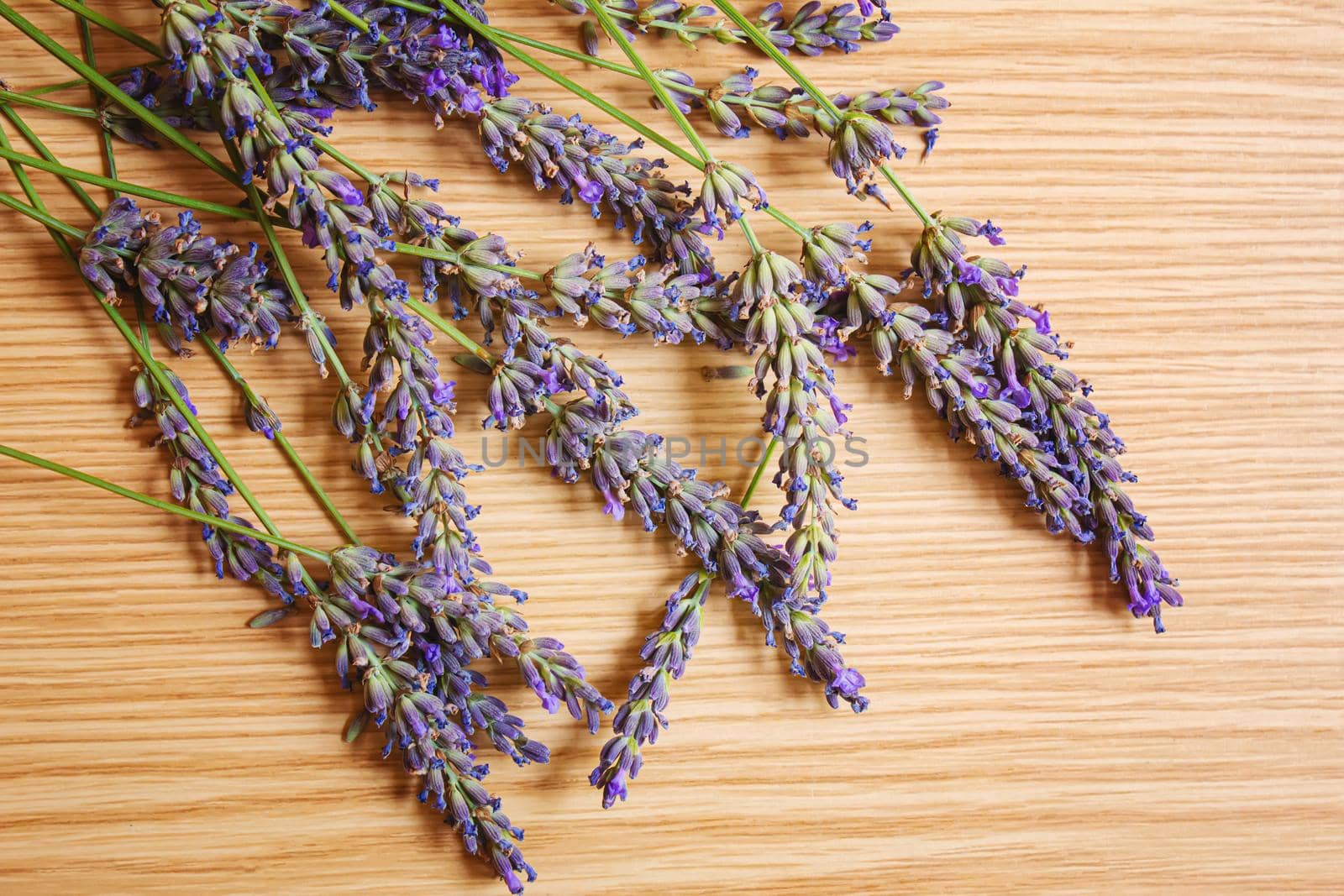 Lavender essential oil in a small bottle. Selective focus.