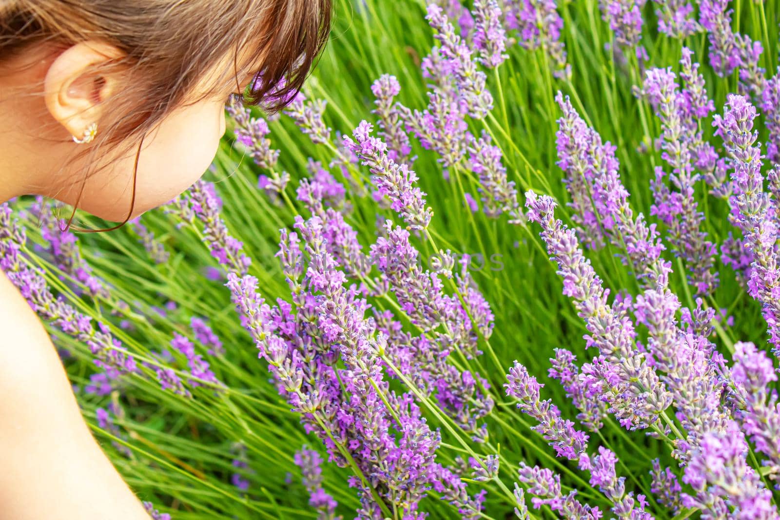 Girl in a flowering field of lavender. Selective focus. nature.