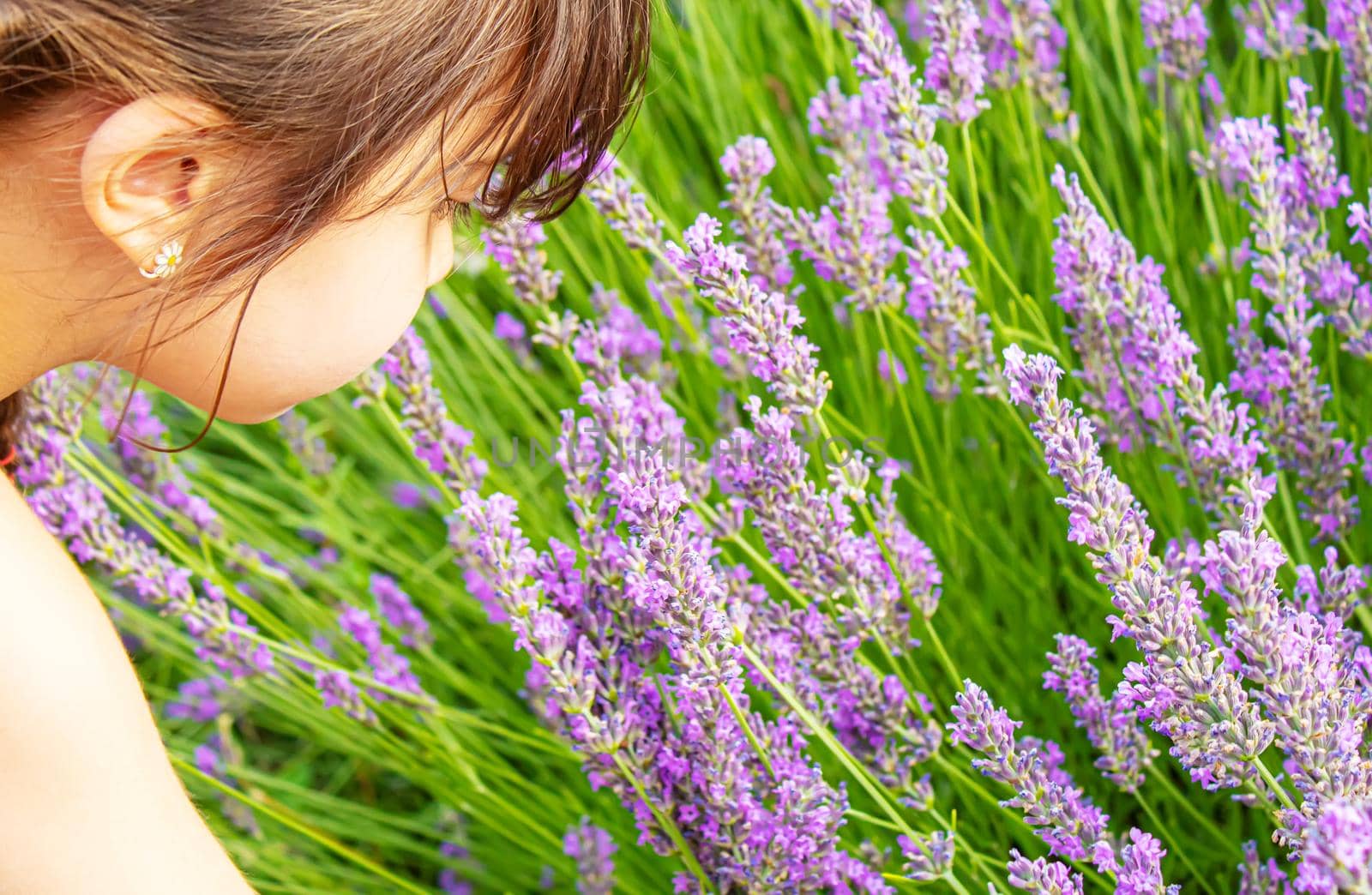 Girl in a flowering field of lavender. Selective focus. nature.