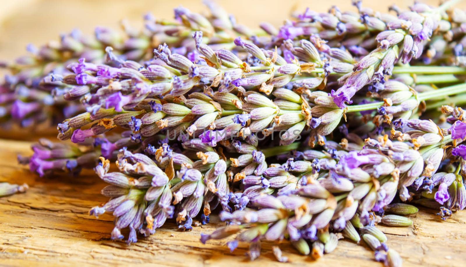 Lavender essential oil in a small bottle. Selective focus.