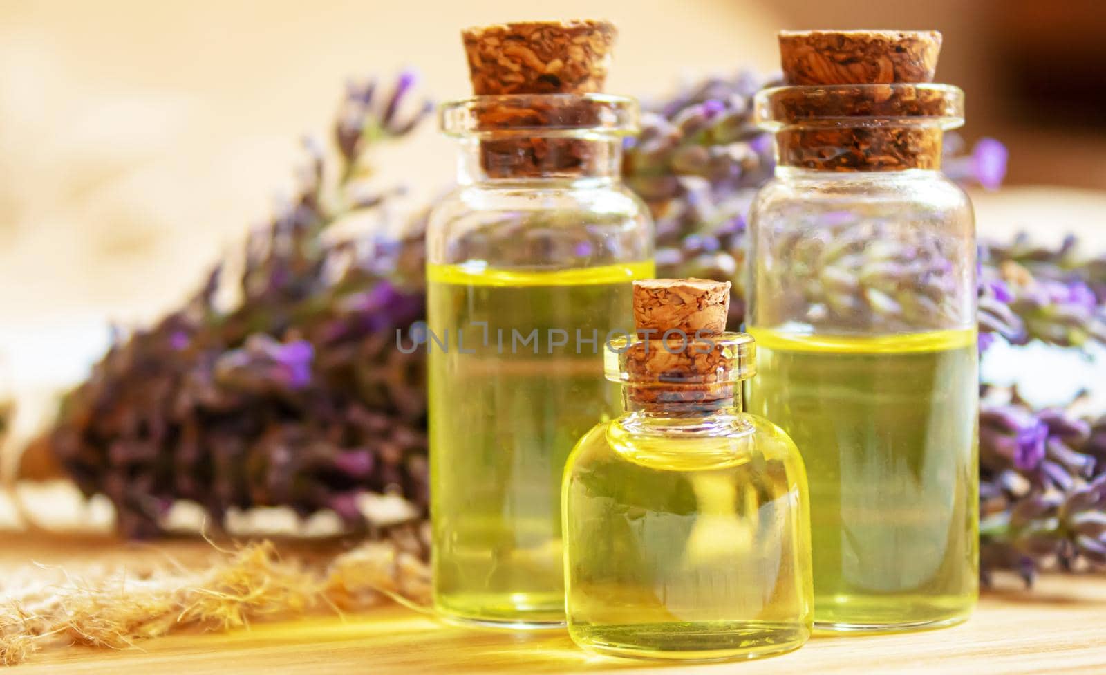 Lavender essential oil in a small bottle. Selective focus. nature.