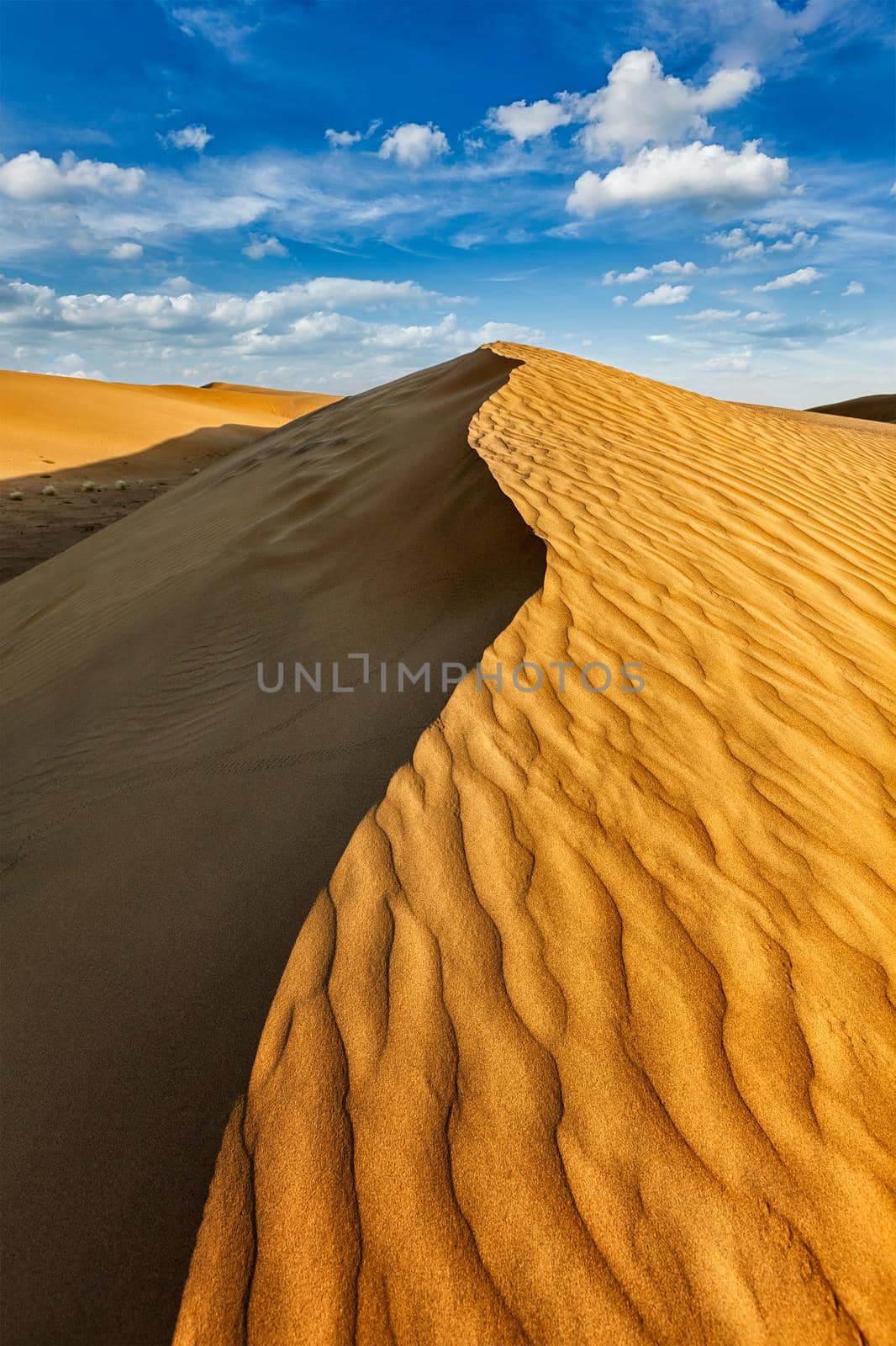 Dunes in Thar Desert by dimol