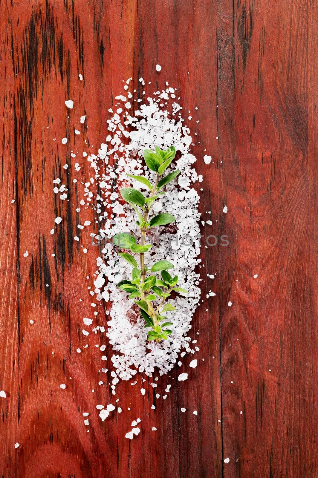 Twig of fresh oregan with coarse salt on wooden background