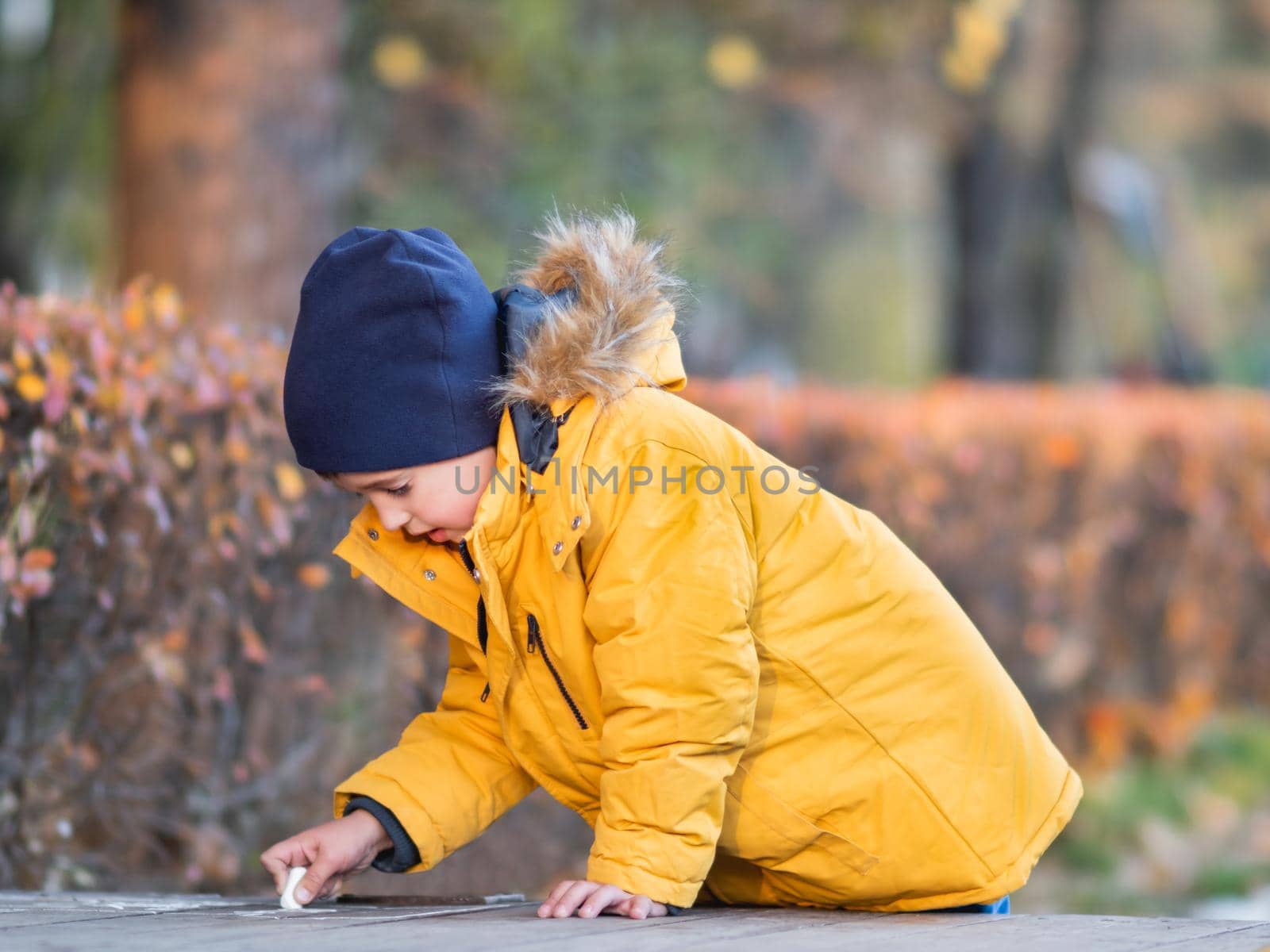 Little boy writes or draws something with chalk on pavement. Creative leisure activity outdoors at fall.