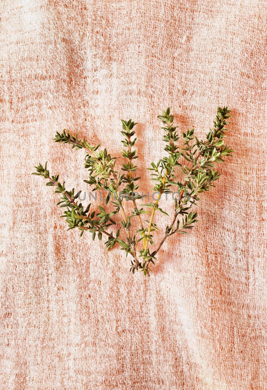 Bunch of fresh thymus on colored background, culinary herb