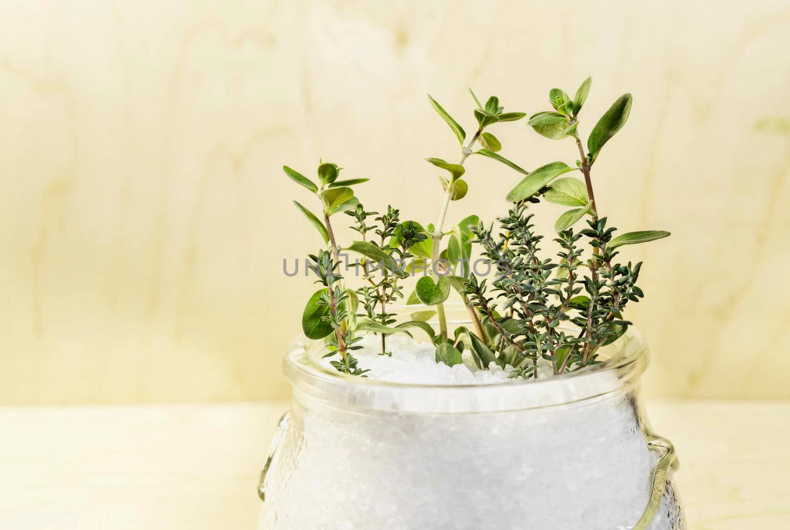 Twig of fresh origan  and thyme with coarse salt i bowl