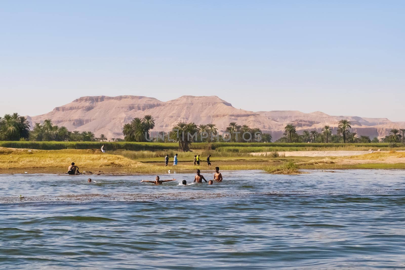 CAIRO, EGYPT - September 16, 2008. Egyptian children are swimming in Nile river. Staying cool in autumn African heat. by aksenovko