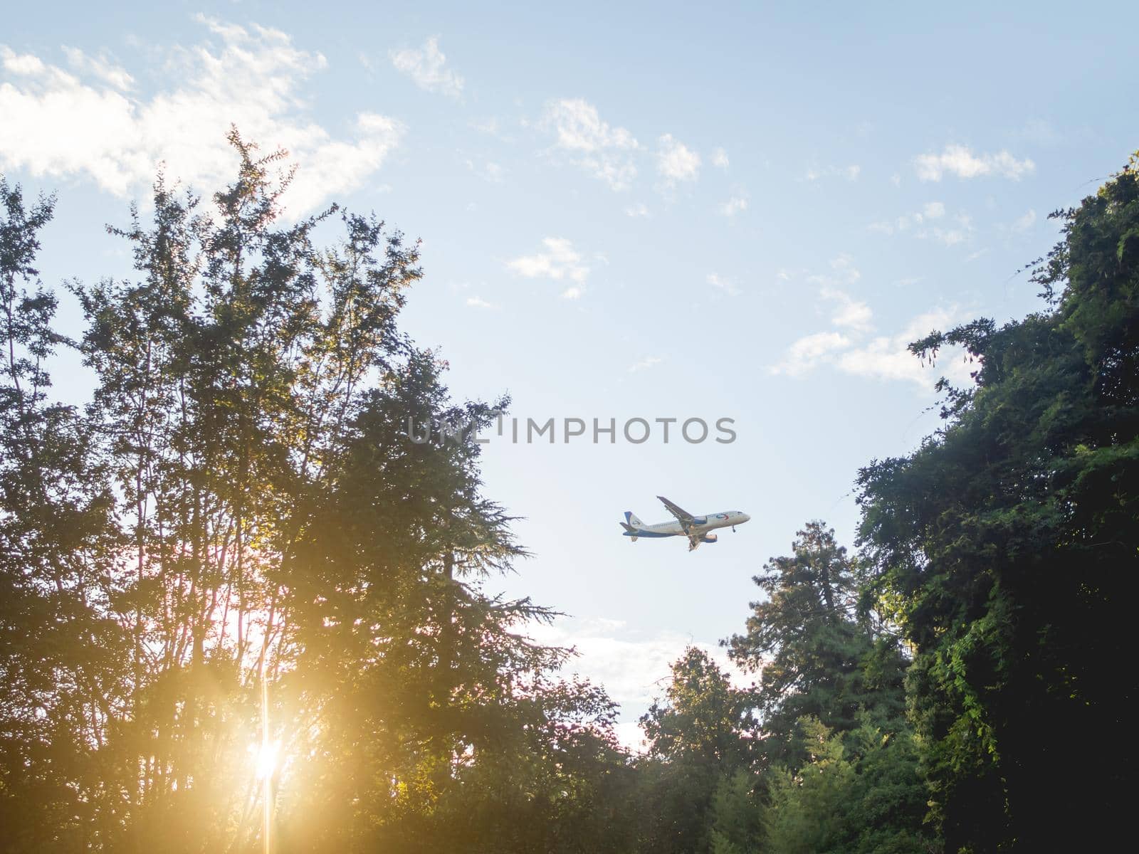 SOCHI, RUSSIA - September 24, 2021. Airplane fies over high trees in park. Aircraft on blue sky background at sunset. by aksenovko