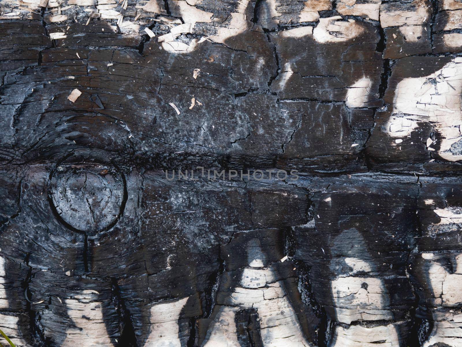 Burned wooden planks. Texture of white colored board after fire. Flame damaged wooden background. by aksenovko