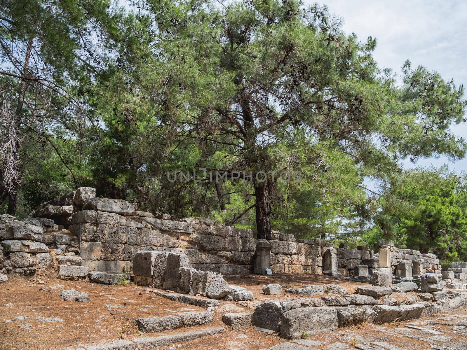 Agora, ruined market square in ancient Phaselis city. Famous architectural landmark in Turkey. by aksenovko