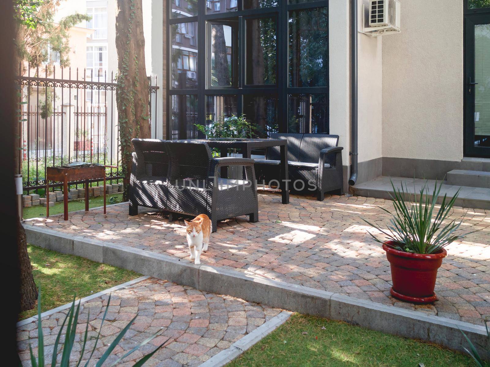 Ginger cat in patio. Fluffy pet on courtyard - outdoor place for party and BBQ. Residential district.