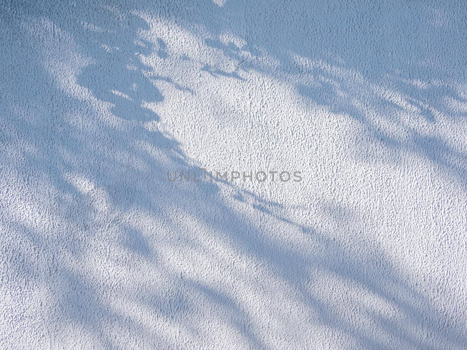 Lacy shadows from trees on white wall. Abstract background with concrete texture. by aksenovko