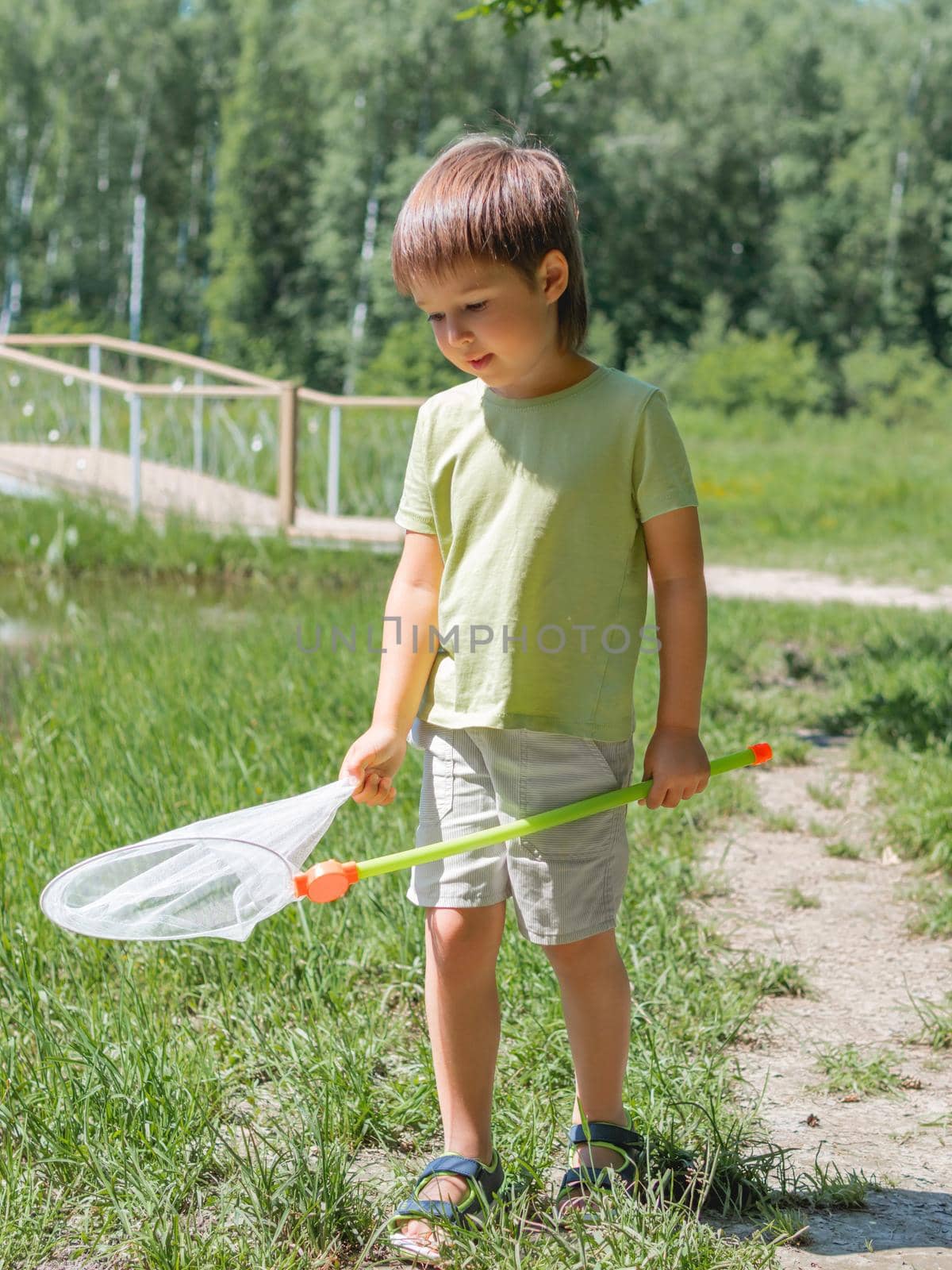 Little kid walks outdoors with butterfly net. Summer leisure activity for children. Insect hunting.
